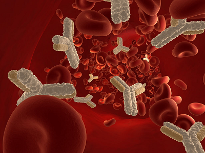 《Journal of Immunology》CD38人源化抗體DARA能夠引發FcR介導的細胞程序性死亡