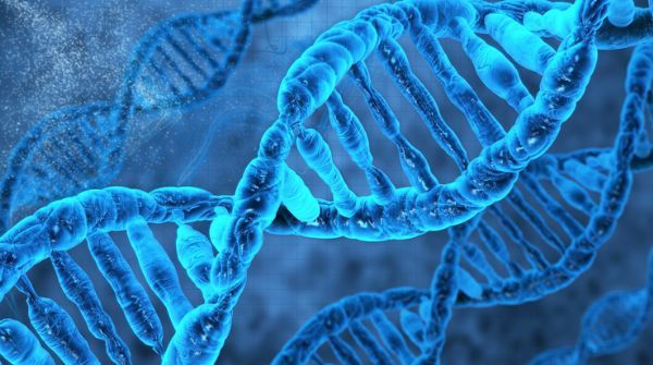 Nature：挑戰常規，絕大多數人腸道細菌能夠在體外培養